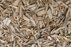 biomass boilers Tonypandy